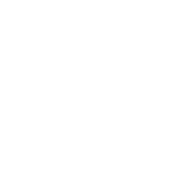 dzwiedzma logo png białe 02