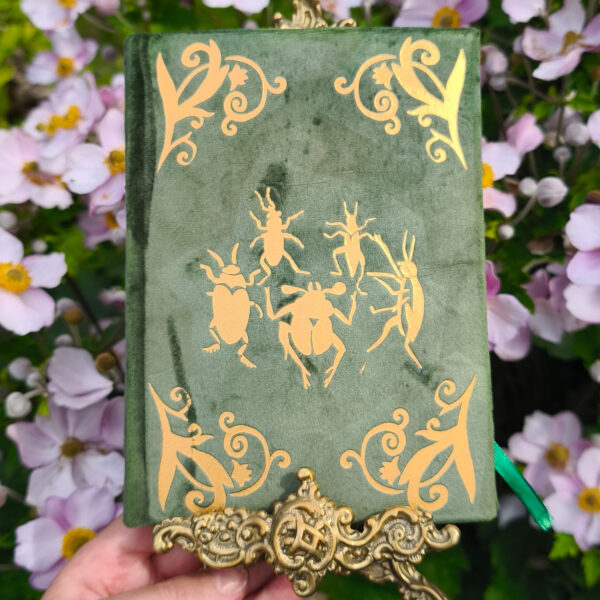 powietrze elements notes b6