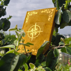 powietrze elements notes b6