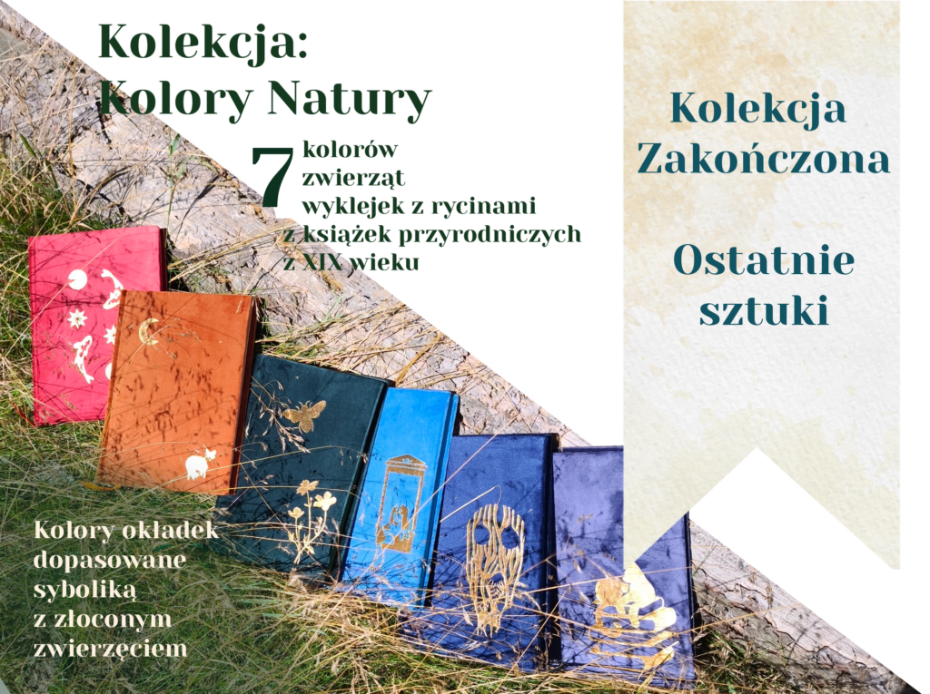 kolory natury last chance